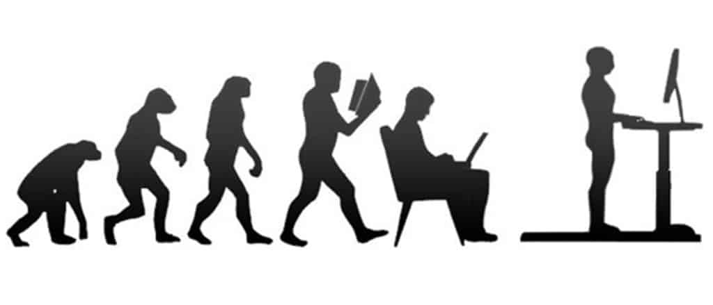The evolution of sitting