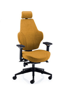 GB1133 Ergonomic Posture chair with headrest